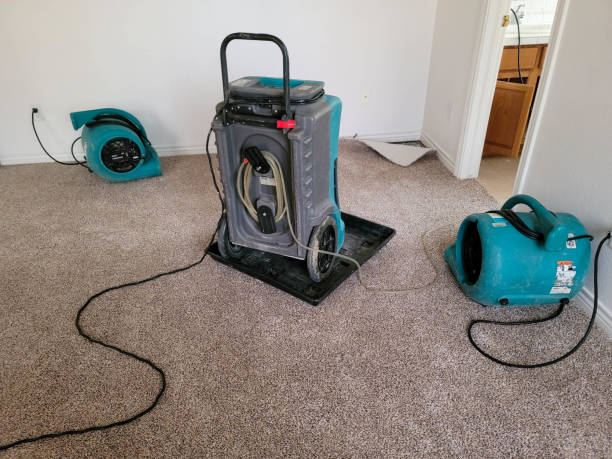 Best Local water damage restoration  in Green Valley, CA
