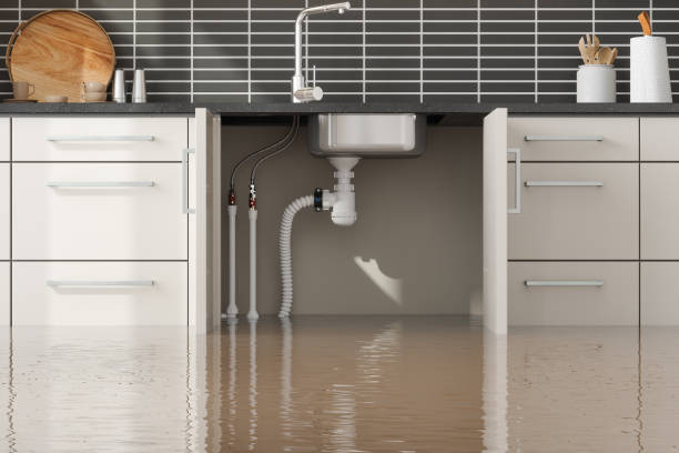 Reliable Green Valley, CA Water damage restoration Solutions